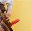 Handyman repair service in Dallas, TX for home fixes and improvements